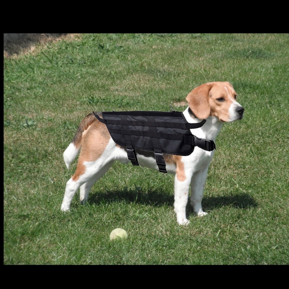 🐕‍🦺Hiking dog harness